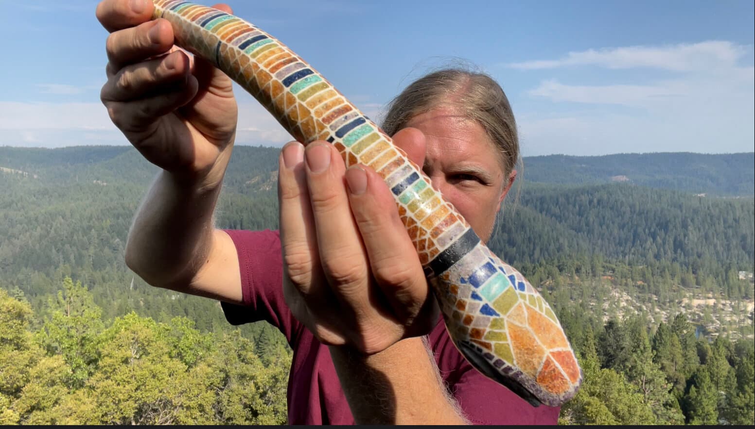 Snake Flute