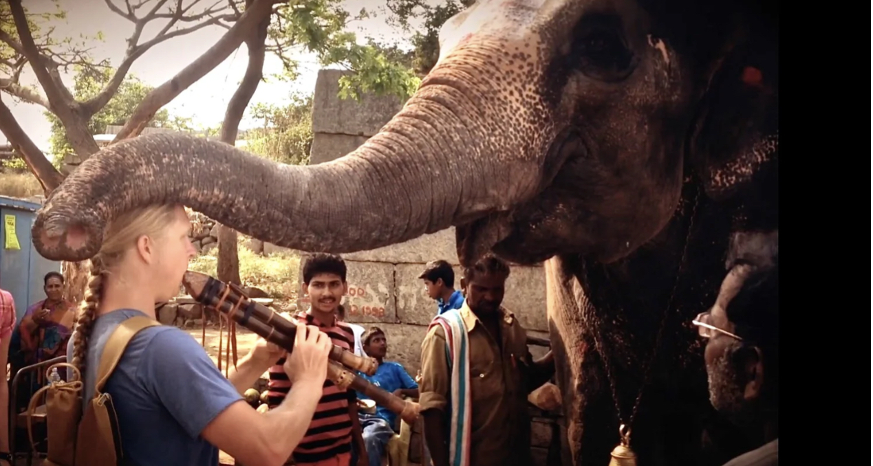 Daniel Hansen playing a handmade flute as an elephant wraps its trunk around his head