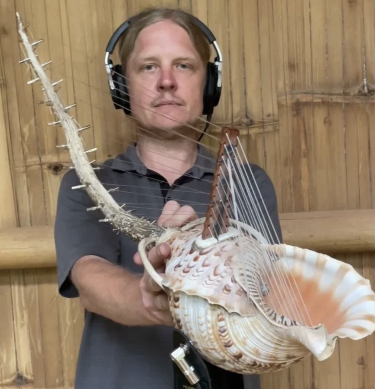 Triton Harp — handcrafted harp, first view