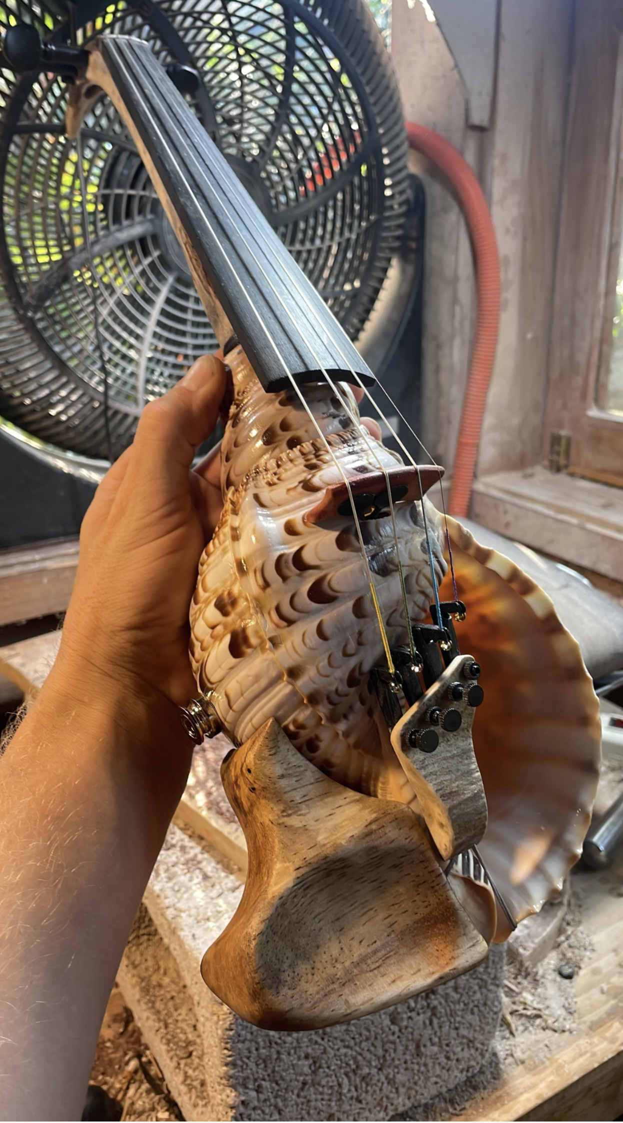 Triton Violin — handcrafted violin